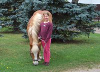 RV_Gestut_Deutschhof_e.V._1